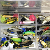 釣具 ルアー ハードルアー エバーグリーン ワーム